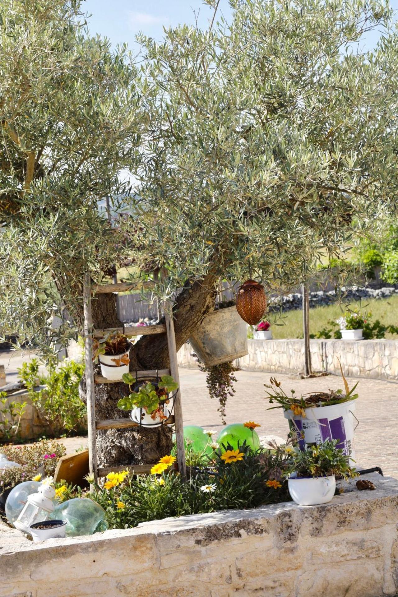 Il Vigneto Sole&Luna Con Piscina Privata Martina Franca Exterior photo